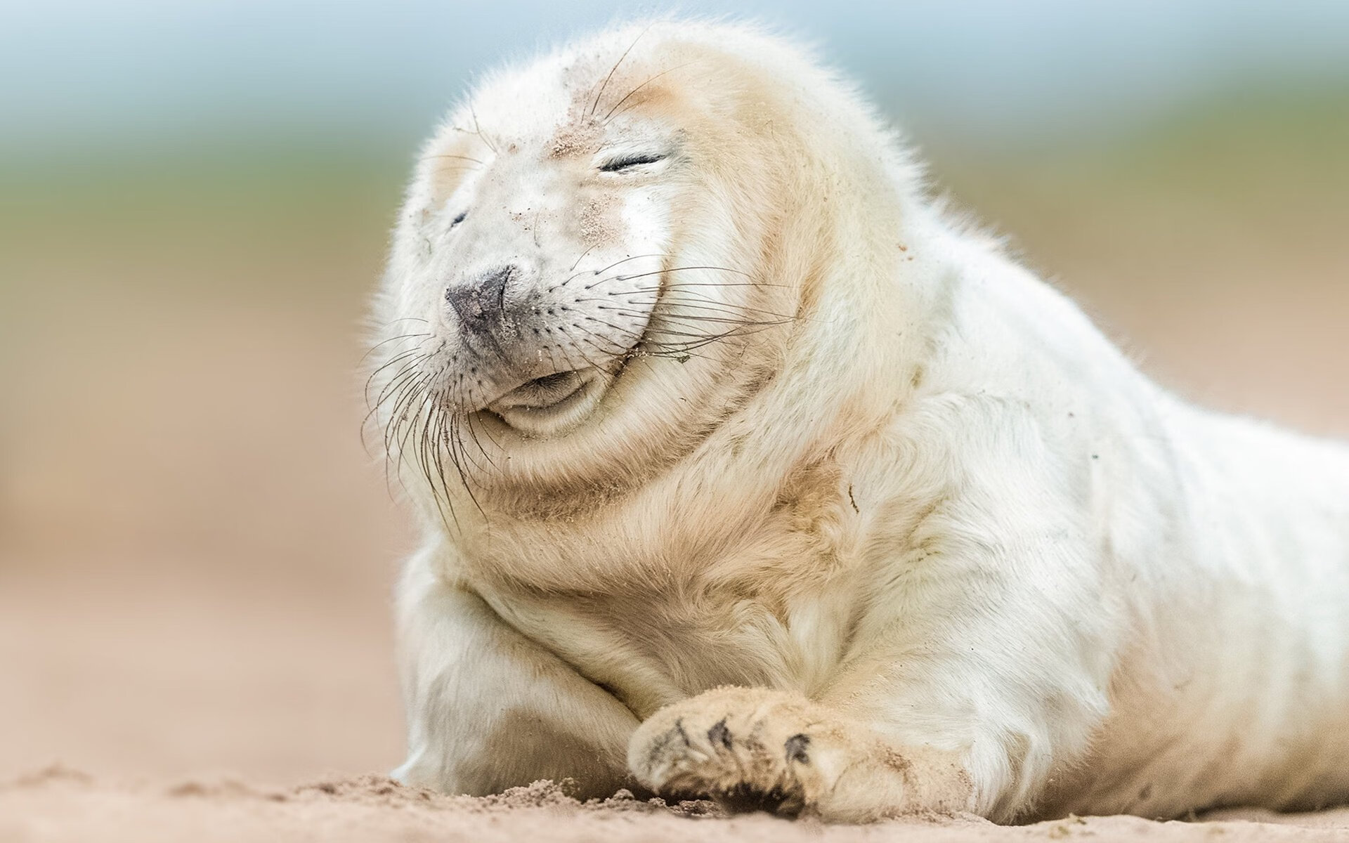 开云体育官方下载-NBA全明星投票开启，球迷热情高涨，nba全明星投票规则说明